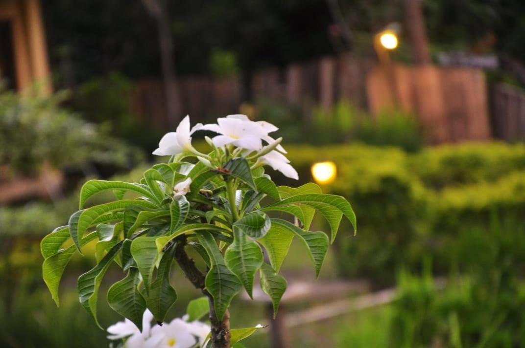 Pondok Guru Bakti Cottage เซอนารู ภายนอก รูปภาพ